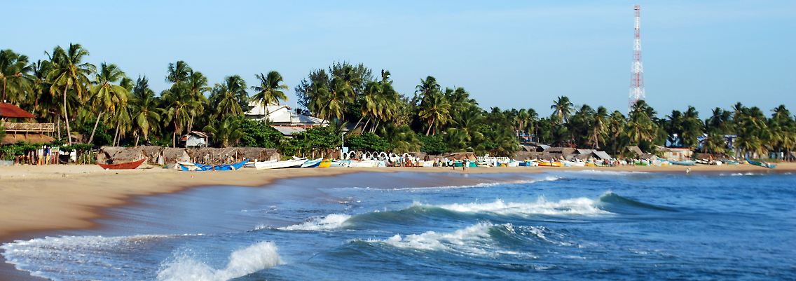 Surfer-Idyll: Die Halmondbucht Arugam Bay bietet feinen Sand, großartige Wellen und Baumhäuser in den Palmen.