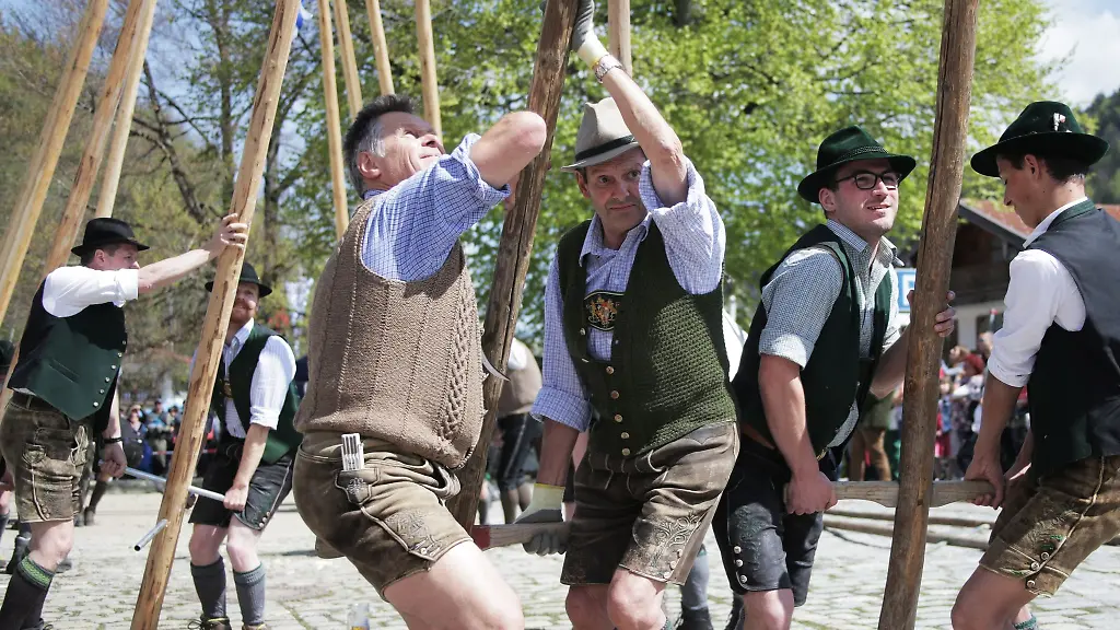 Mitglieder-vom-Gebirgstrachten-Erhaltungsverein-D-Leonhardstoana-stellen-einen-Maibaum-auf