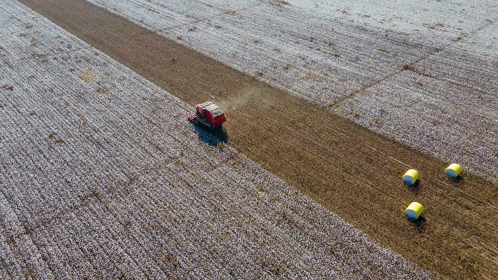 0c55a23cbff5d1ef96514485625d3af1