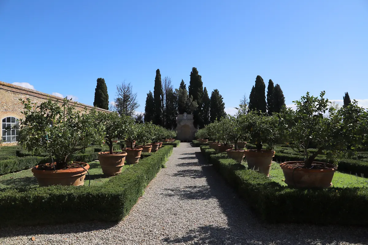 Villa-Chigi-di-Vicobello-giardini-giardino-dei-limoni-05