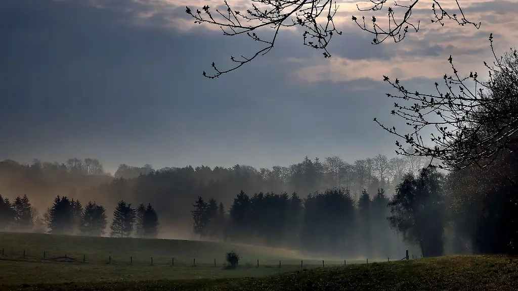 Nebel-zieht-am-Morgen-ueber-Felder-bei-Kall