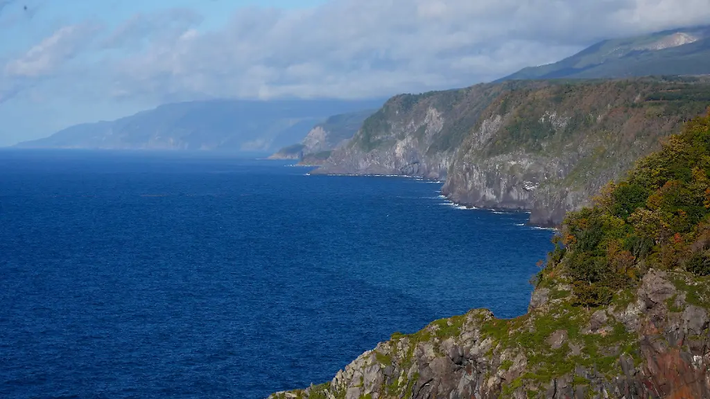 77cbed8361baa7b917f6270af40ae45e