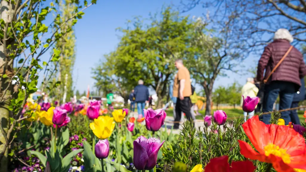 Bei-strahlendem-Sonnenschein-wird-die-Landesgartenschau-eroeffnet