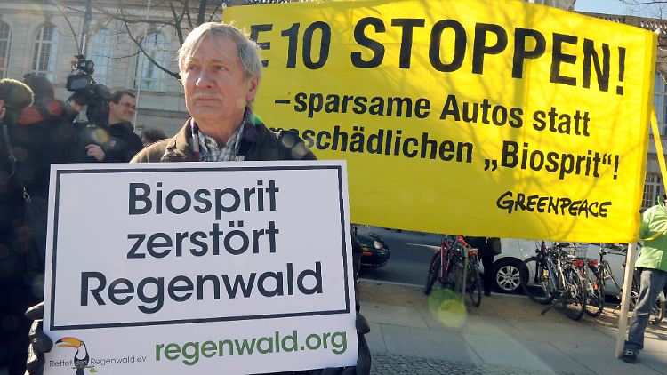 Protestierende vor dem Wirtschaftsministerium: Der Biosprit erregt Widerstand an allen Fronten.