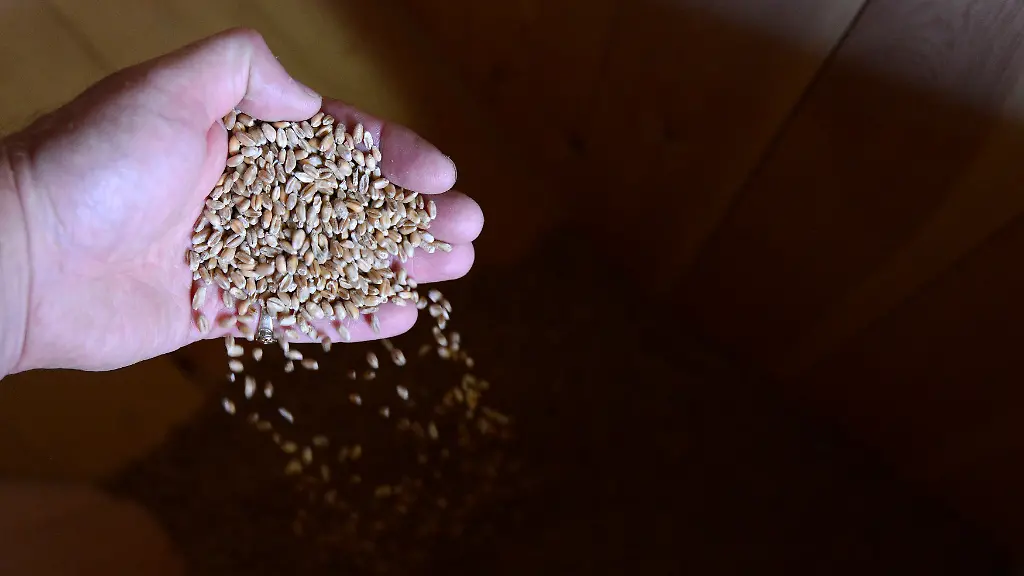 2013-09-10T120000Z-2109801634-GM1E99B063W01-RTRMADP-3-WHEAT-BRITAIN