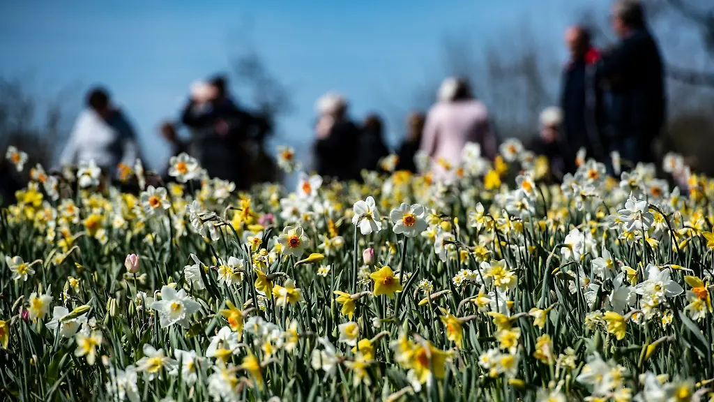 Besucher-gehen-ueber-das-Gelaende-der-Landesgartenschau-im-brandenburgischen-Beelitz