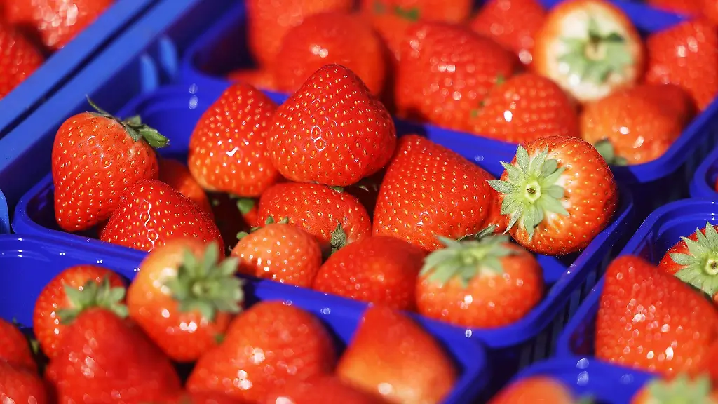 Erdbeeren-liegen-in-Plastikschalen