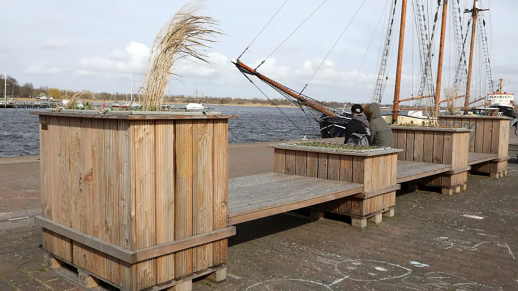 An-der-Kaikante-im-Stadthafen-stehen-Hochbeete-mit-Baggergut-aus-der-Warnow