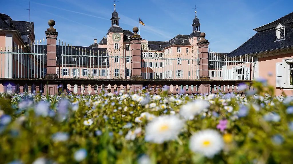 Gaensebluemchen-bluehen-auf-einer-Wiese-vor-dem-Hauptportal-des-Schwetzinger-Schlosses