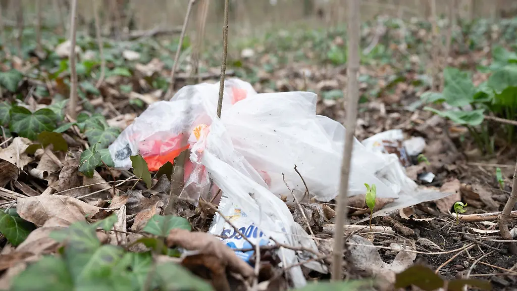 Eine-Muelltuete-liegt-in-einem-Waldstueck