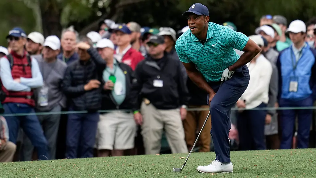 79b30cf494fec6ba937ec76eedbb06a8