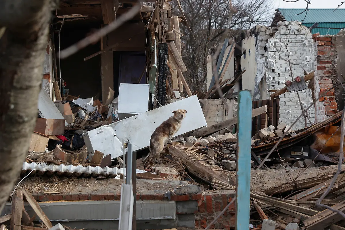 2022-04-06T180944Z-112452457-RC2KHT96RV5H-RTRMADP-3-UKRAINE-CRISIS-CHERNIHIV