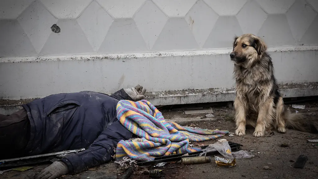 Ein-Hund-harrt-neben-einem-getoeteten-Zivilisten-in-Butscha-aus