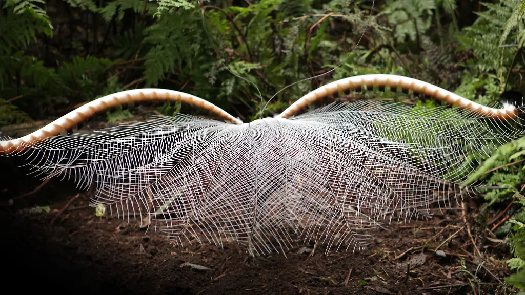 ACHTUNG-Nur-im-Zusammenhang-mit-der-aktuellen-Berichterstattung