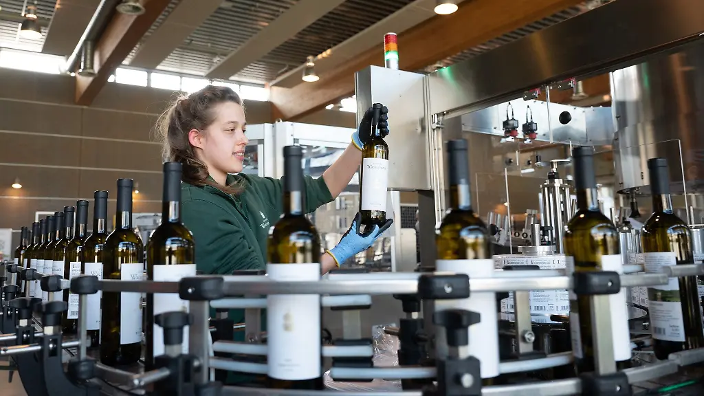 Weinkueferin-Anna-Eichhorn-kontrolliert-an-einer-Abfuellanlage-eine-Flasche-Weisswein-der-Sorte-Bacchus-trocken