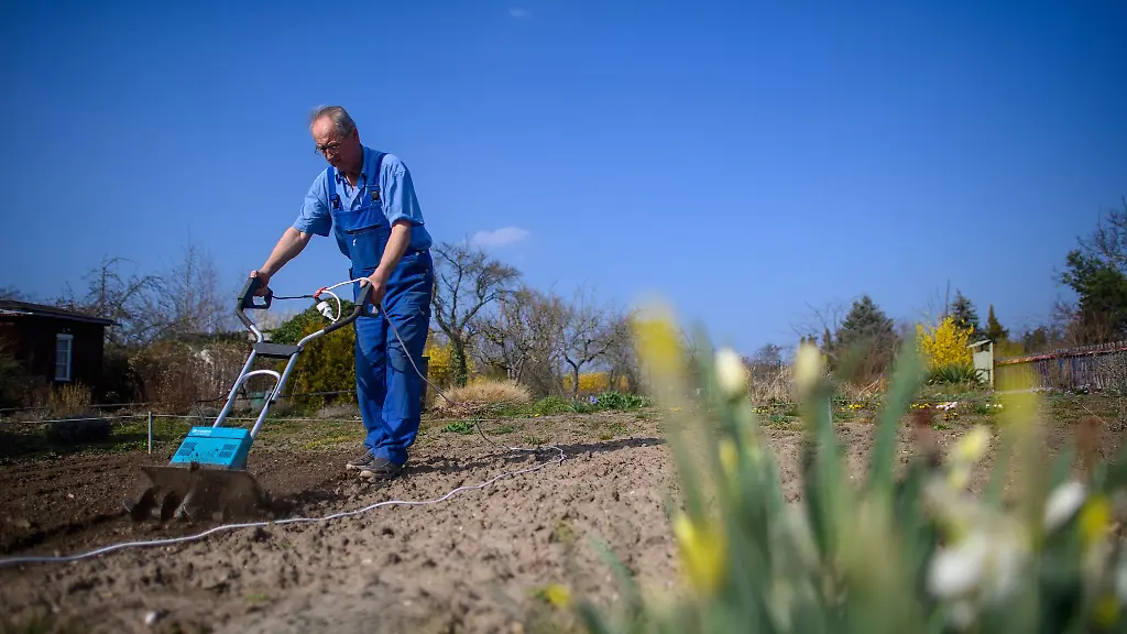 Ein-Mitglied-des-Kleingartenvereins-Gartenidyll-pfluegt-auf-seiner-Parzelle-ein-Beet
