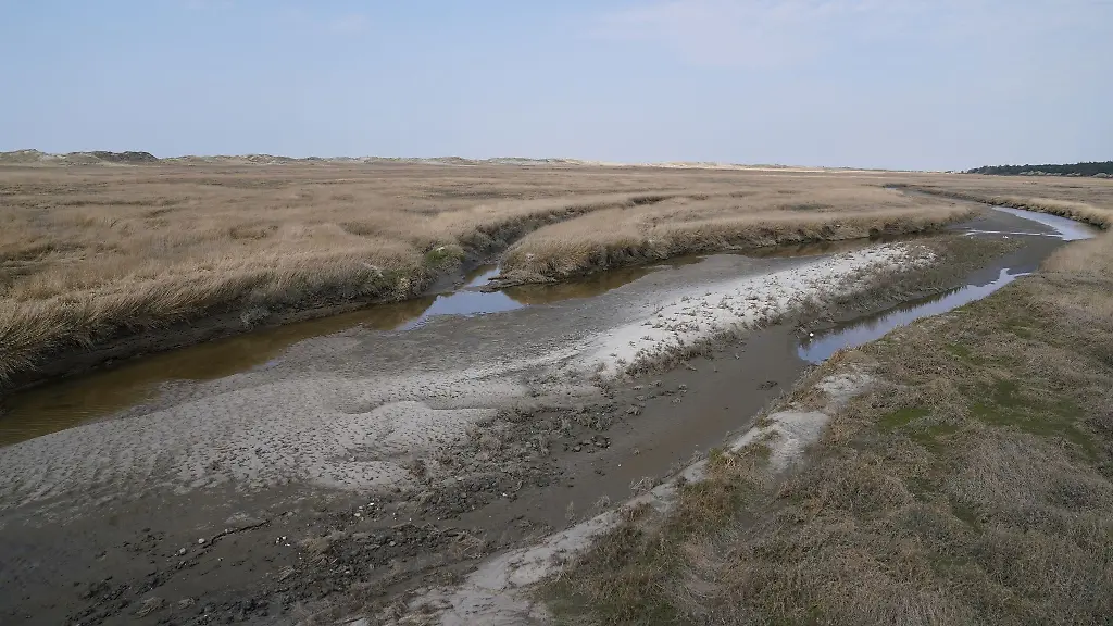 Blick-von-der-Seebruecke-in-St-Peter-Ording-auf-die-Salzwiesen-vor-dem-Strandabschnitt