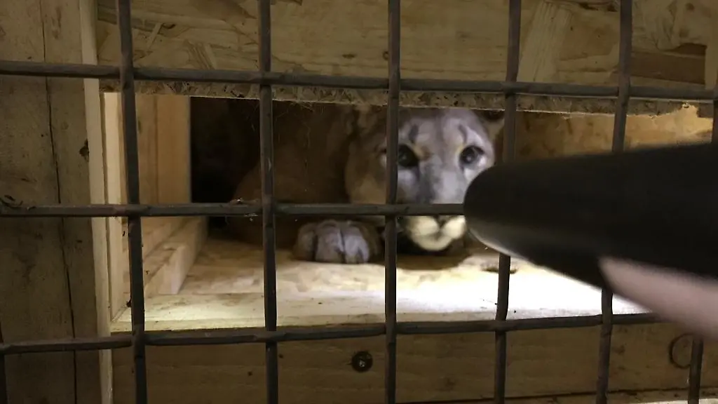 3305631b064698c19f62066a6838d46e