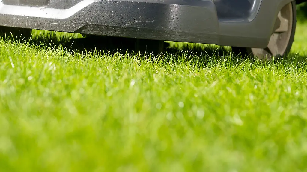 Vorsicht-scharfe-Messer-Nicht-alle-Maehroboter-erkennen-Hindernisse-und-halten-rechtzeitig-an