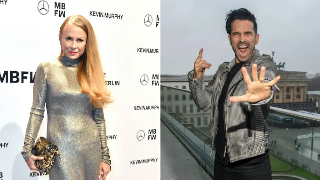 collage-elvers-terenzi