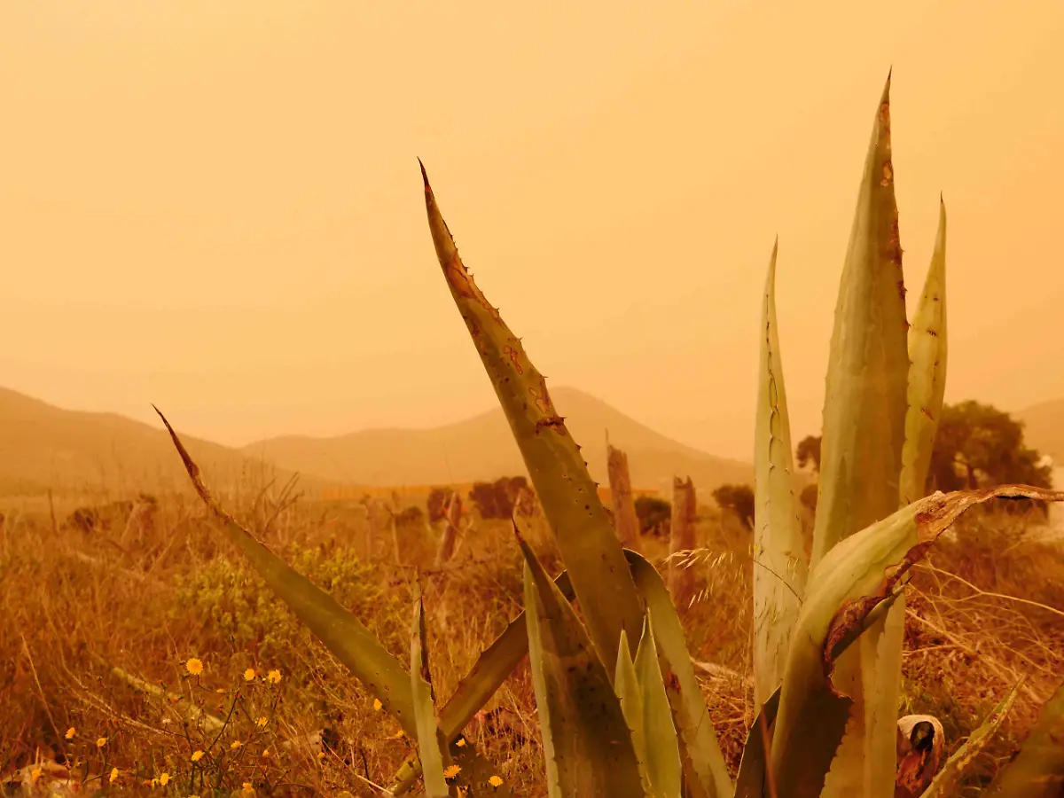 26b17e0de7bbf4e9db28e9675682aa3e