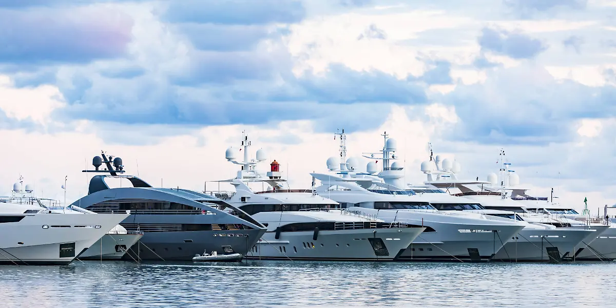 66c03776085968eb41af0e46e9487cb6