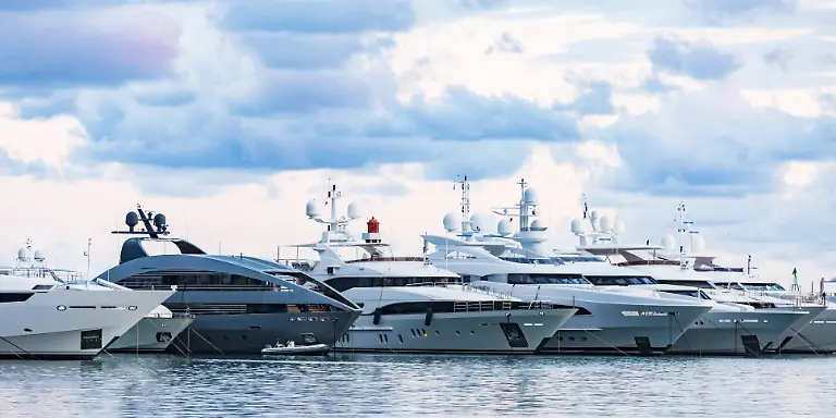 66c03776085968eb41af0e46e9487cb6