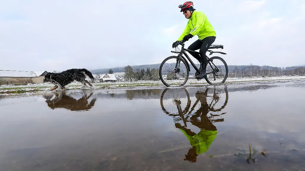 Ein-Radfahrer-und-sein-Hund-sind-auf-einem-von-Wasser-ueberfluteten-Weg-nahe-der-Donau-unterwegs