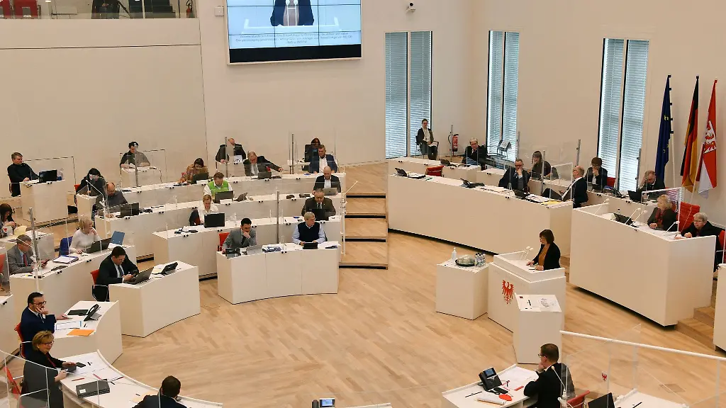 Abgeordnete-waehrend-einer-Debatte-des-Landtags