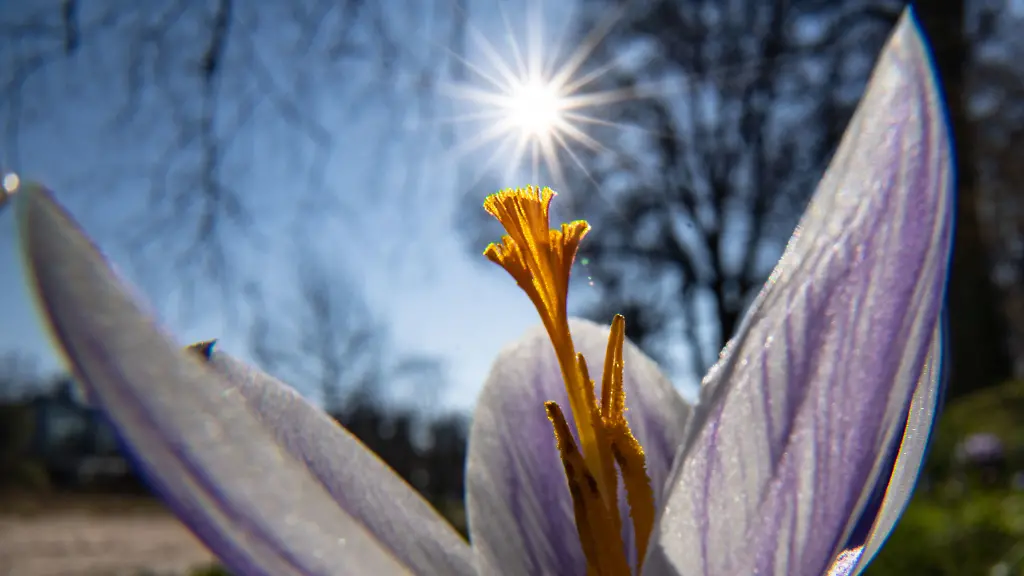 b57551278863424b399b8f687664f9f9