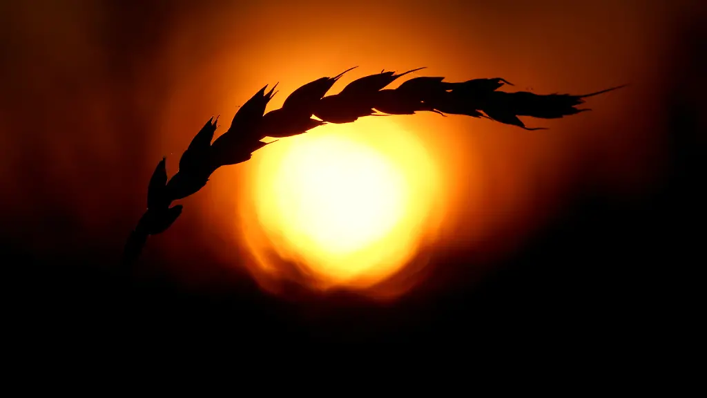 2022-03-09T132516Z-551114421-RC21ZS9JVND9-RTRMADP-3-UKRAINE-CRISIS-RUSSIA-BREAD