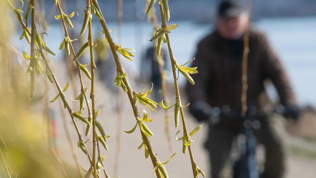 Der-Fruehling-steht-in-den-Startloechern-Trotz-des-regenreichen-Winters-gibt-es-keine-Entwarnung-fuer-Hessens-Waelder