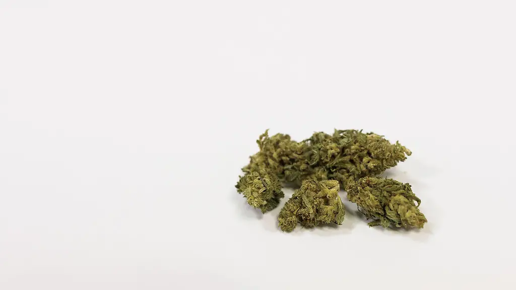 Die-Blueten-von-medizinischem-Cannabis-liegen-auf-dem-Tisch-einer-Arztpraxis