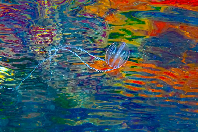 NICHT-VERWENDEN1003PAULPETTITT