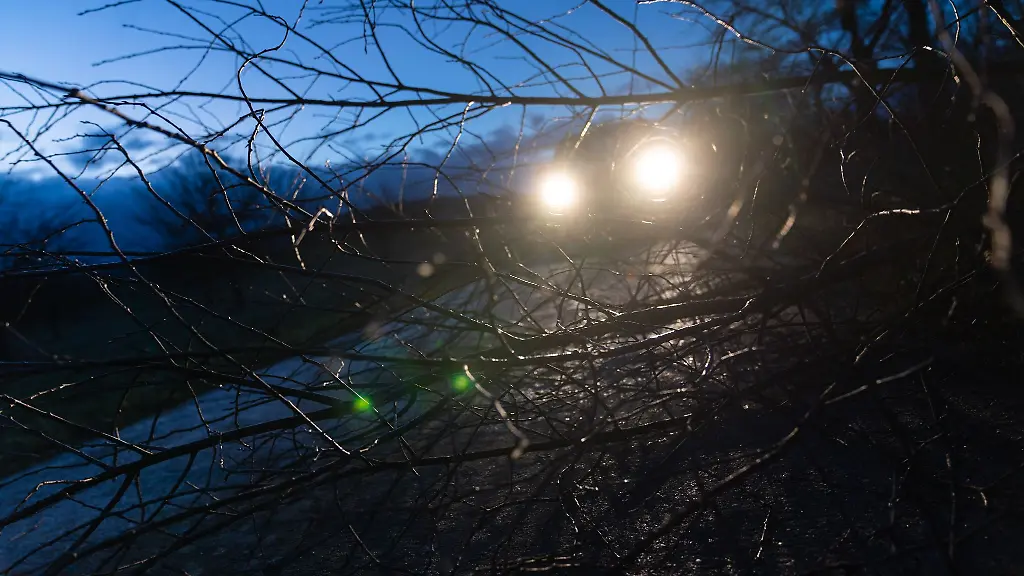 Ein-junger-entwurzelter-Baum-liegt-auf-einer-Strasse