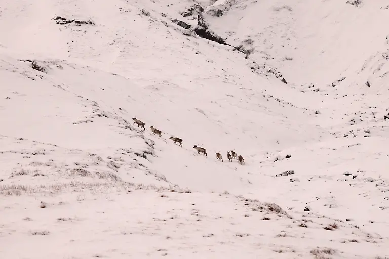 2022-02-16T232418Z-432410493-RC22LS9SL8O8-RTRMADP-3-ICELAND-WEATTHER