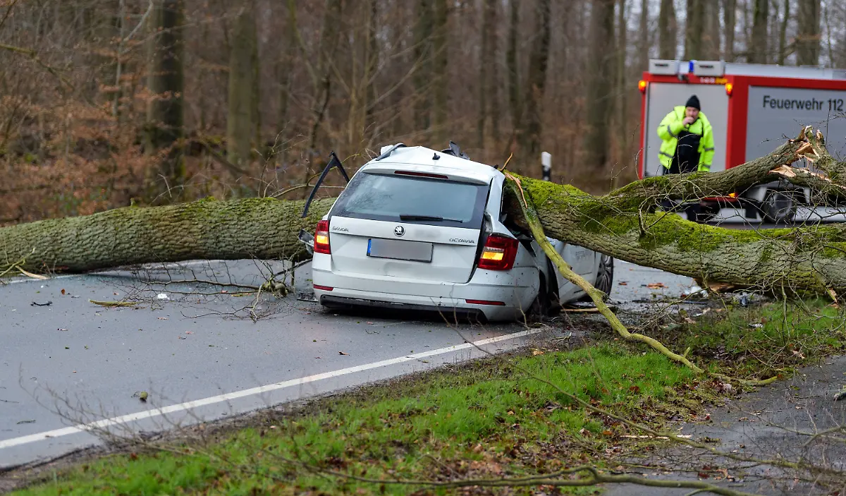 92965ec3b2f9bfe1827bf8bcfbfc98a6