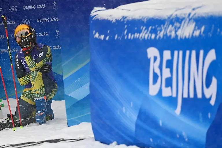 923bd836f55c354380a9e2d4d0d58923