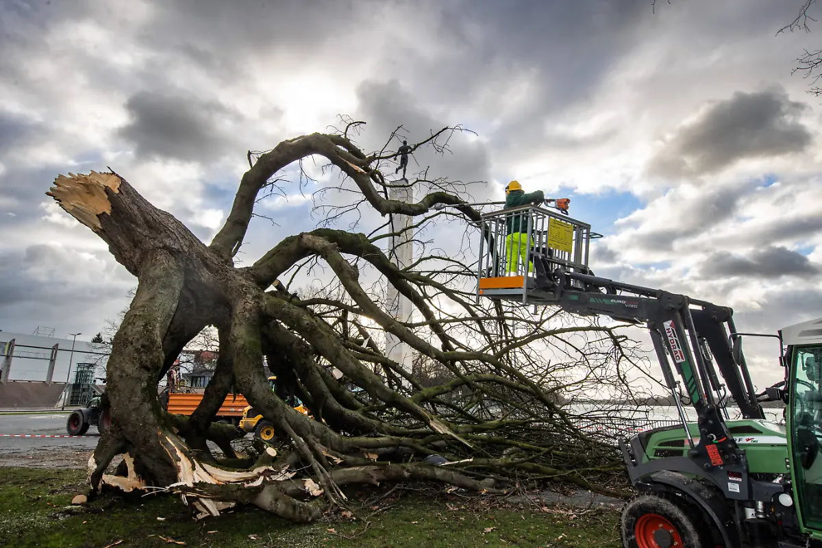 79ef2c68c259dcbd10c88ddf84b56e8d