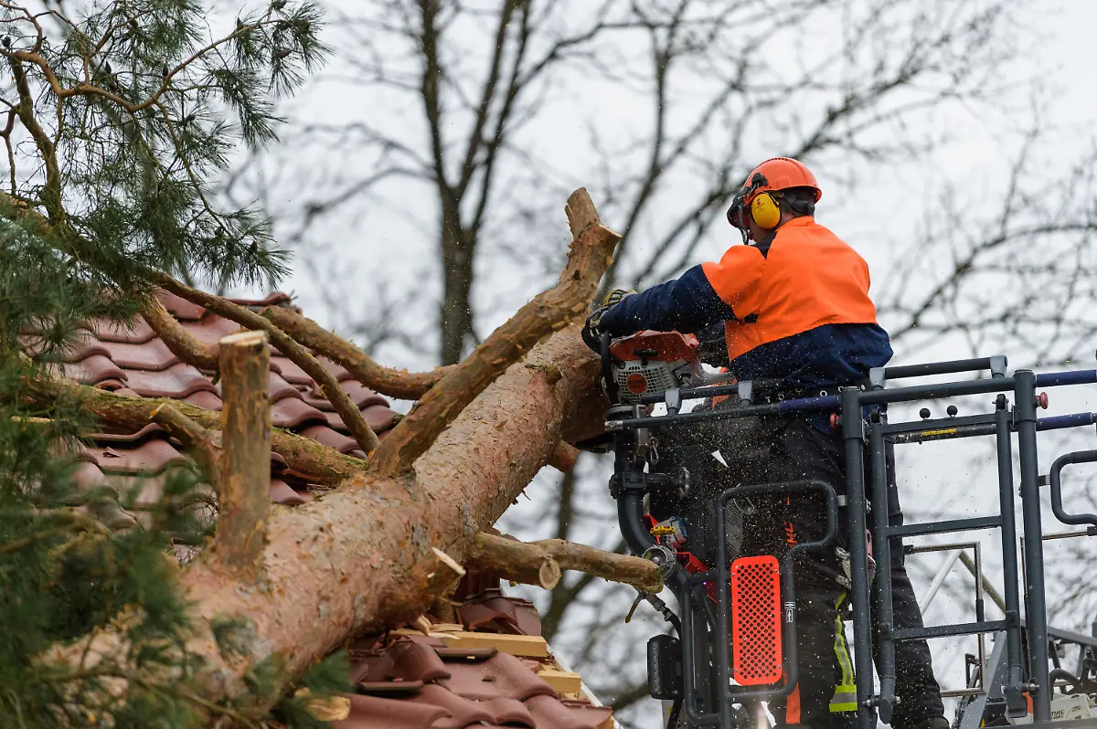 4afaf32f76214c8875b5f768331a3bfa