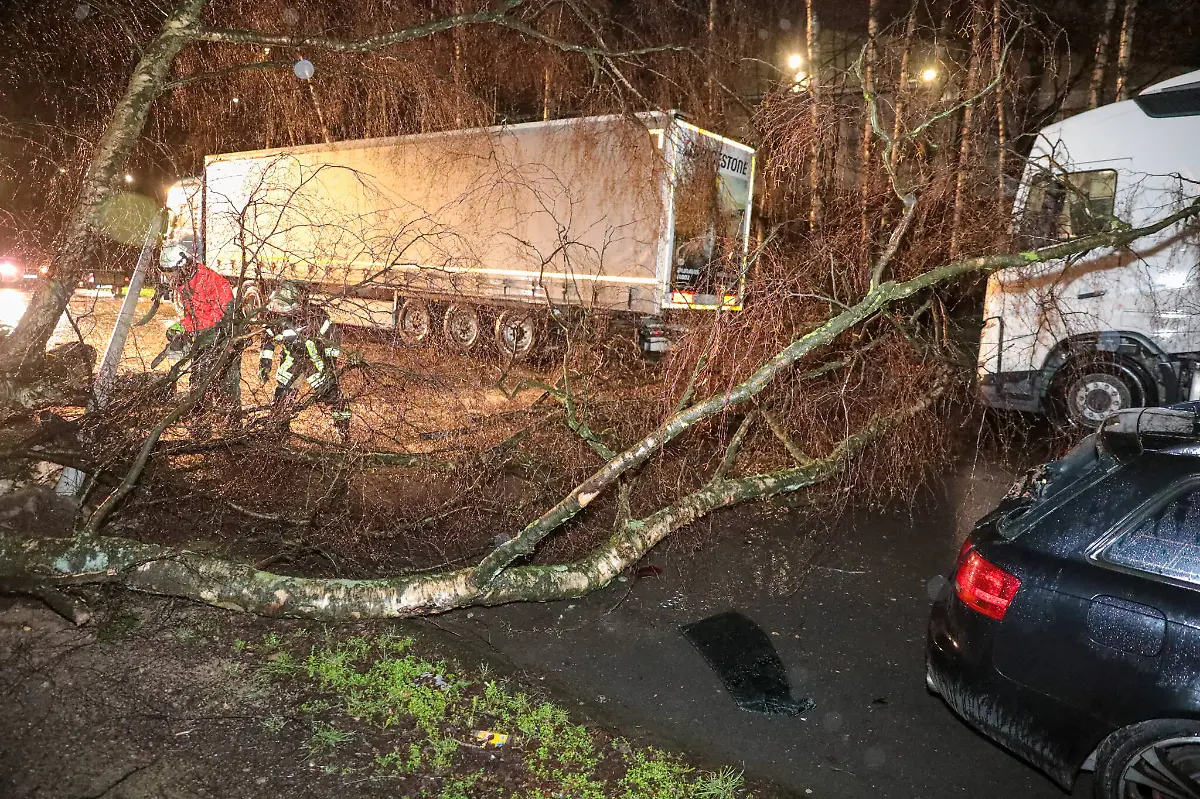 e3112c7241200a0511dc17fb9a1c17a4