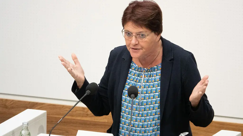 Meta-Janssen-Kucz-Buendnis-90-Die-Gruenen-spricht-im-niedersaechsischen-Landtag