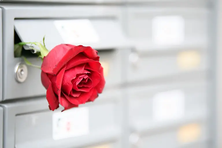 8e4dad5f610f772b1972534ddecee295