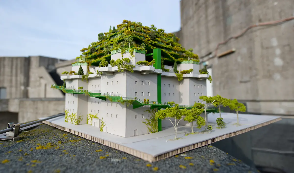 49c5583d51a81b2d3682d23dc9187815