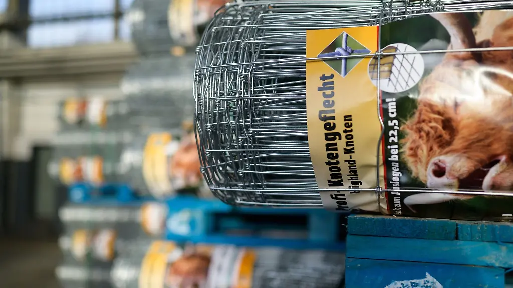 Drahtzaeune-gegen-die-Ausbreitung-der-Afrikanischen-Schweinepest-liegen-in-einer-Halle