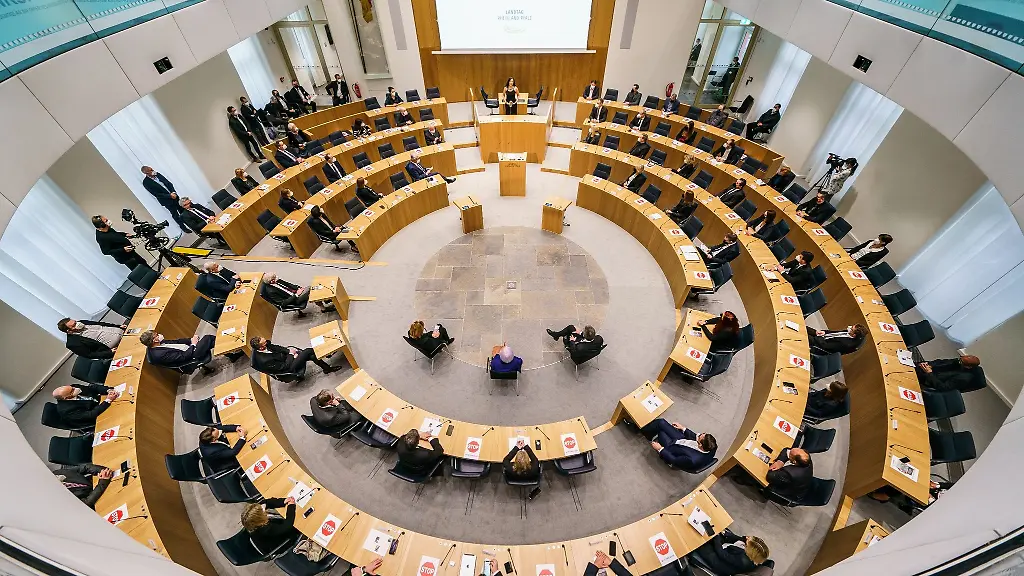 Die-Abgeordneten-haben-sich-im-Landtag-von-ihren-Plaetzen-erhoben