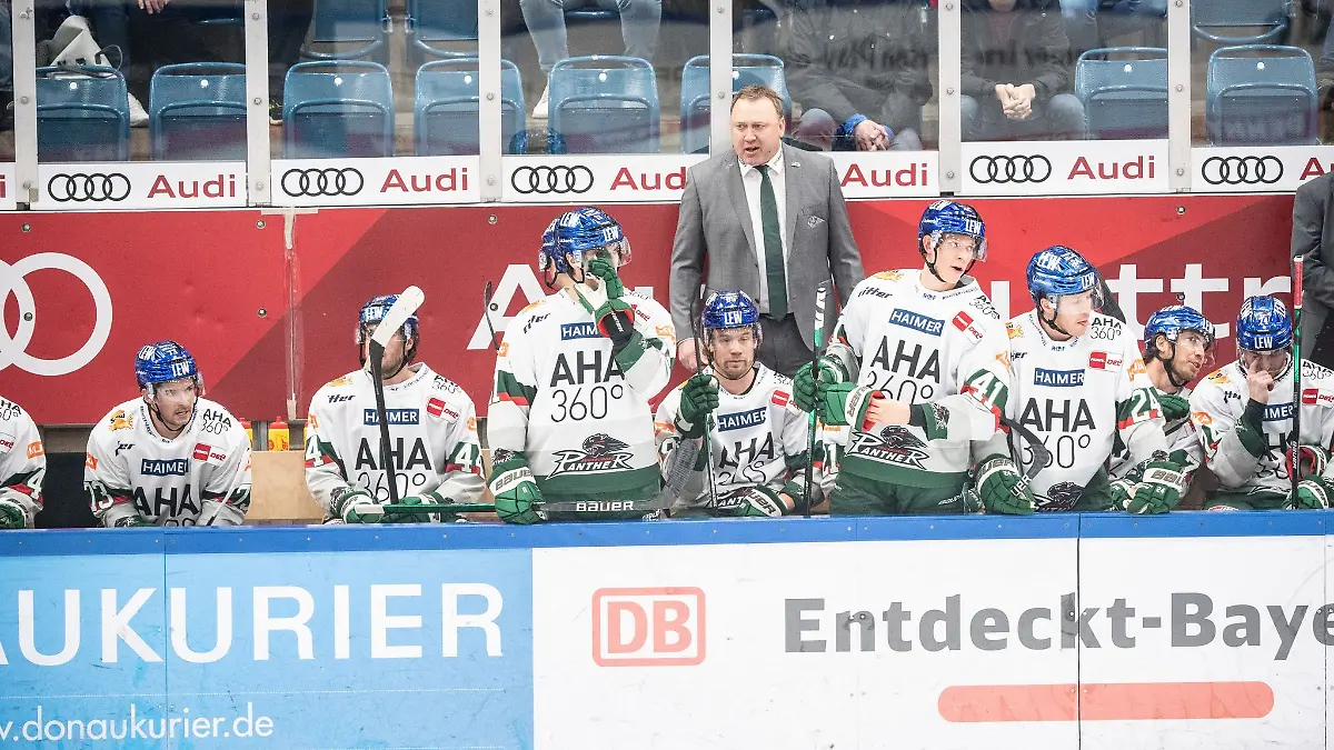 Trainer-Mark-Pederson-von-Augsburg-verfolgt-ein-Spiel