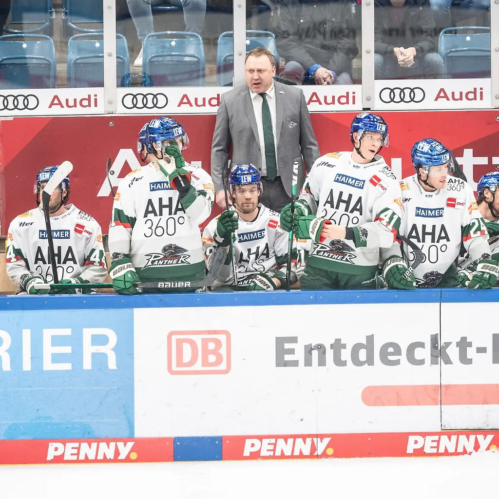 Trainer-Mark-Pederson-von-Augsburg-verfolgt-ein-Spiel
