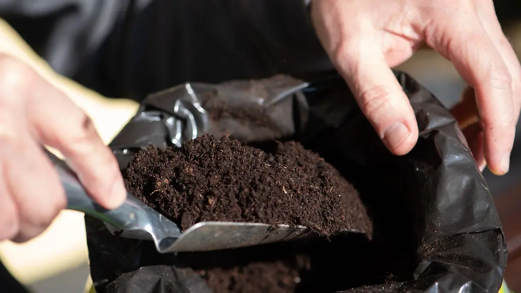 Lebensstoff-Pflanzen-brauchen-gute-Erde-zum-Wachsen-Viele-Blumenerden-enthalten-aber-immer-noch-Torf-selbst-wenn-sie-als-torfreduziert-oder-torfarm-deklariert-sind