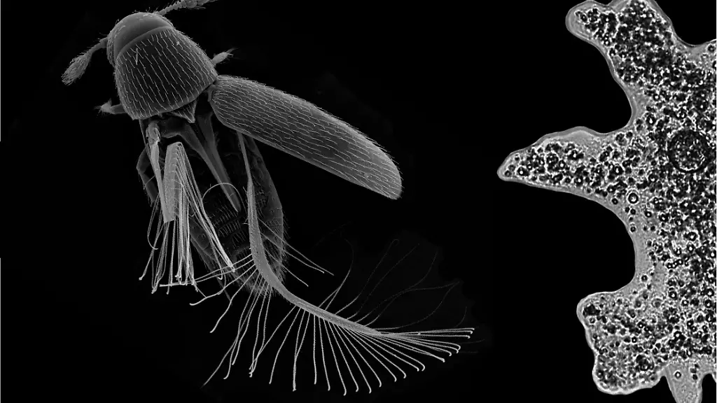 urn-binary-dpa-com-20090101-220120-99-779332-FILED